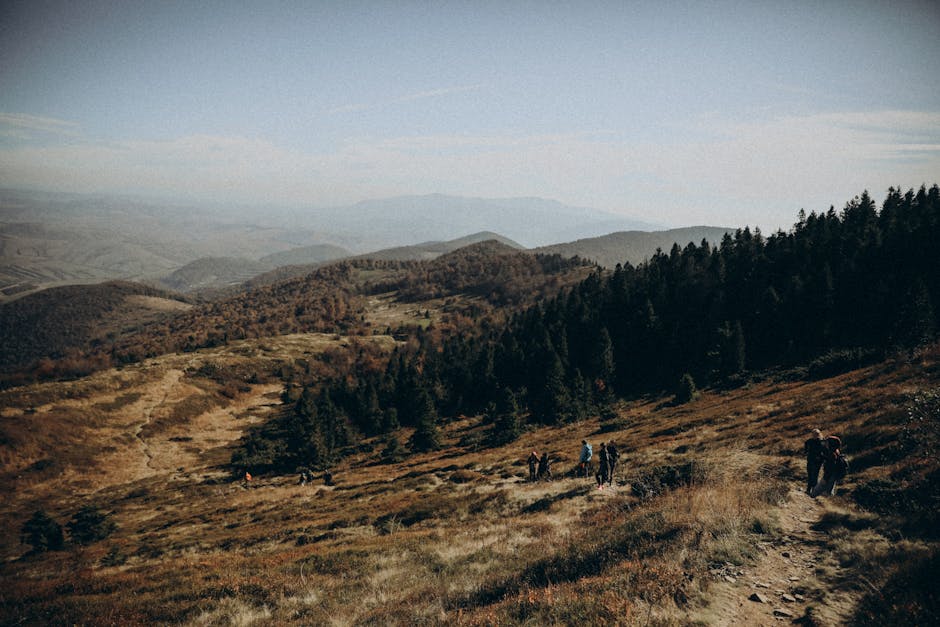 Hikers enjoying a scenic mountain trail in autumn, surrounded by forest and rolling hills.